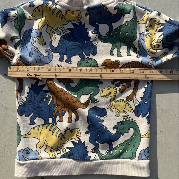 Kid's H&M Sweatshirt Multicolor Dinosaur Print 6X/7 Boy's Prehistoric Colorblock - Picture 9 of 12